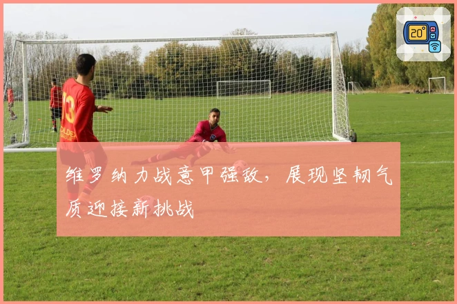 维罗纳力战意甲强敌，展现坚韧气质迎接新挑战