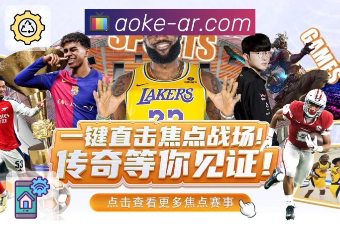 网络自适应终端方案